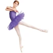 Capezio Tutu leotard, dres s tutu sukničkou Capezio Tutu leotard, dres s tutu sukničkou