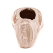 Capezio Develope 5.5, baletné špice Capezio Develope 5.5, baletné špice