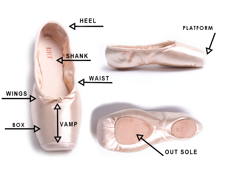 Featured image of post Pointe Shoe Anatomy A correctly fitted bloch pointe shoe considers all aspects of the shoe s anatomy to ensure correct foot